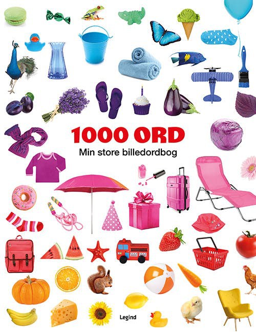 1000 ORD MIN STORE BILLEDORDBOG