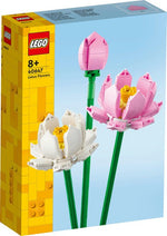 40647 LOTUSBLOMSTER