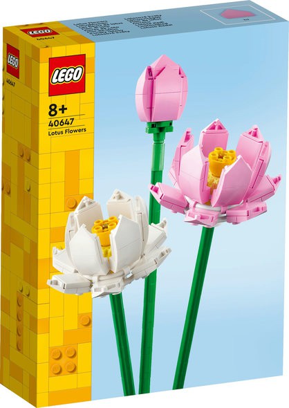 40647 LOTUSBLOMSTER
