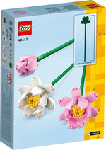 40647 LOTUSBLOMSTER
