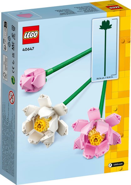 40647 LOTUSBLOMSTER