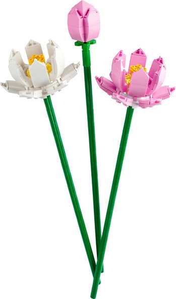 40647 LOTUSBLOMSTER