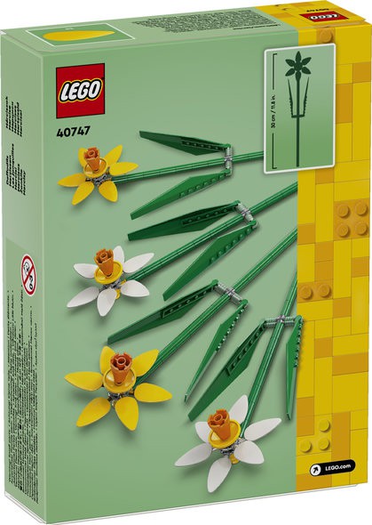 40747 PÅSKELILJER