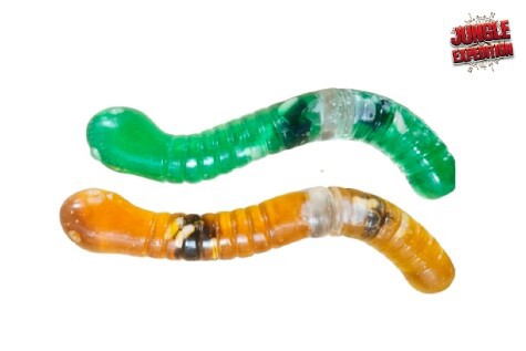 Jungle Expedition Fidget Slimorm 24 cm - 2 varianter