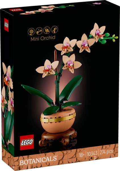 10343 Mini-orkidé