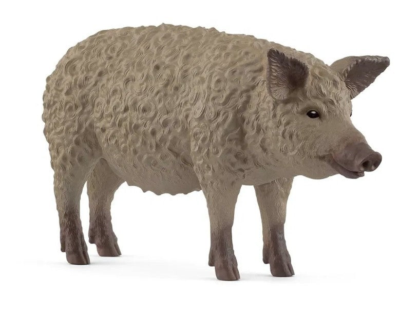 SCHLEICH MANGALICA GRIS 14892
