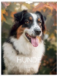 VÆGKALENDER HUNDE 2026