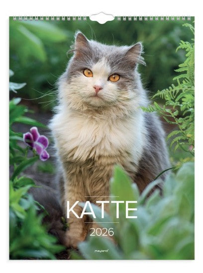 VÆGKALENDER KATTE 2026