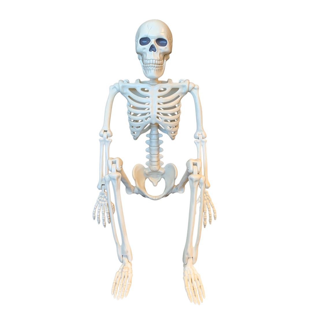 Halloween skelet dekoration, MAGNI