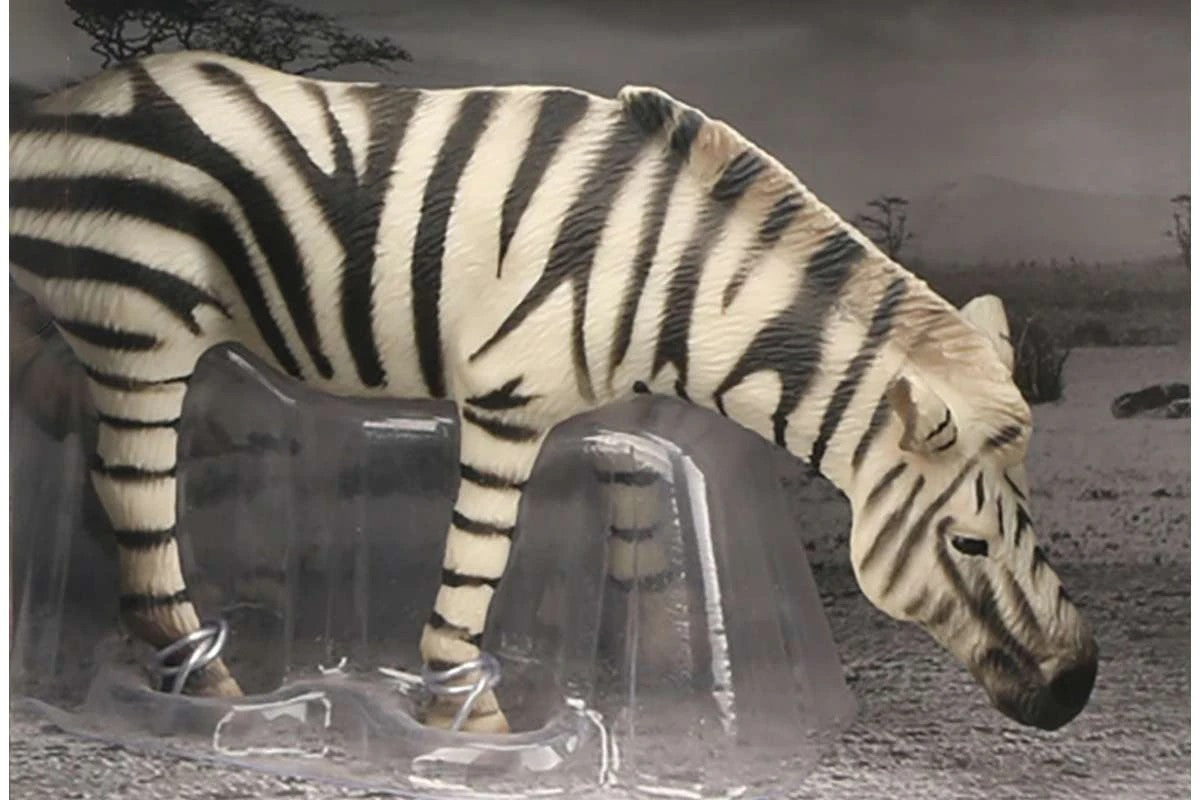 Animal Universe Zebra åben æske 16x9,5x11cm