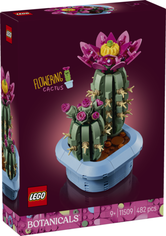 11509 Blomstrende kaktus