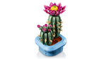 11509 Blomstrende kaktus
