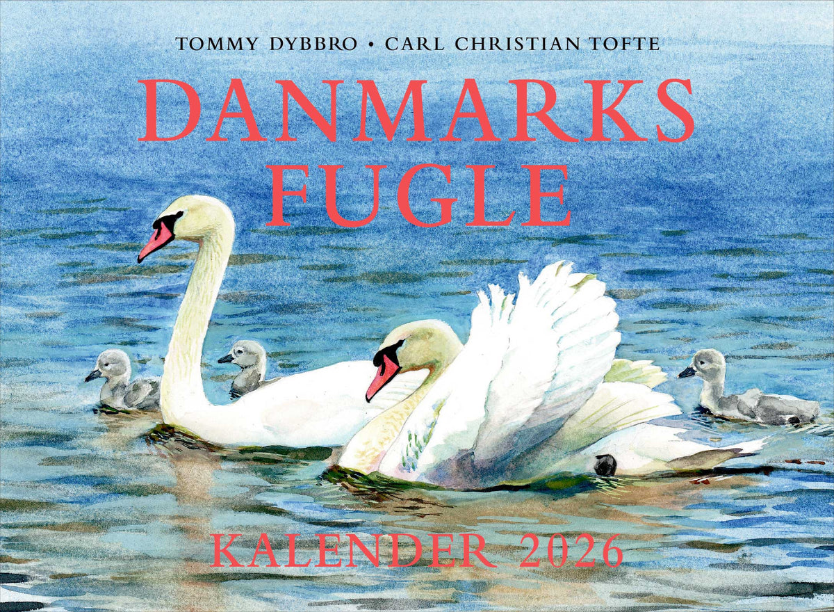 Danmarks fugle - kalender 2026 af  Carl Christian Tofte & Tommy Dybbro