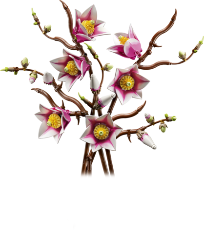 Magnolia-grene 11510