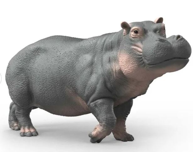 Schleich Flodhest 14938