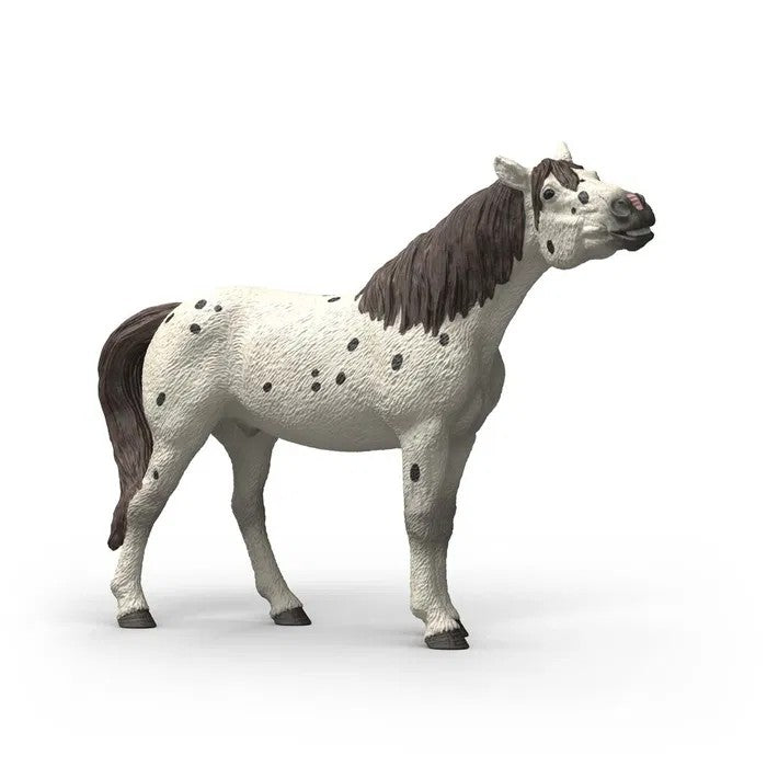 Schleich Knabstrupper Vallak 14916