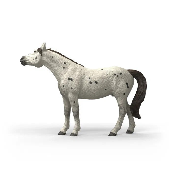 Schleich Knabstrupper Vallak 14916