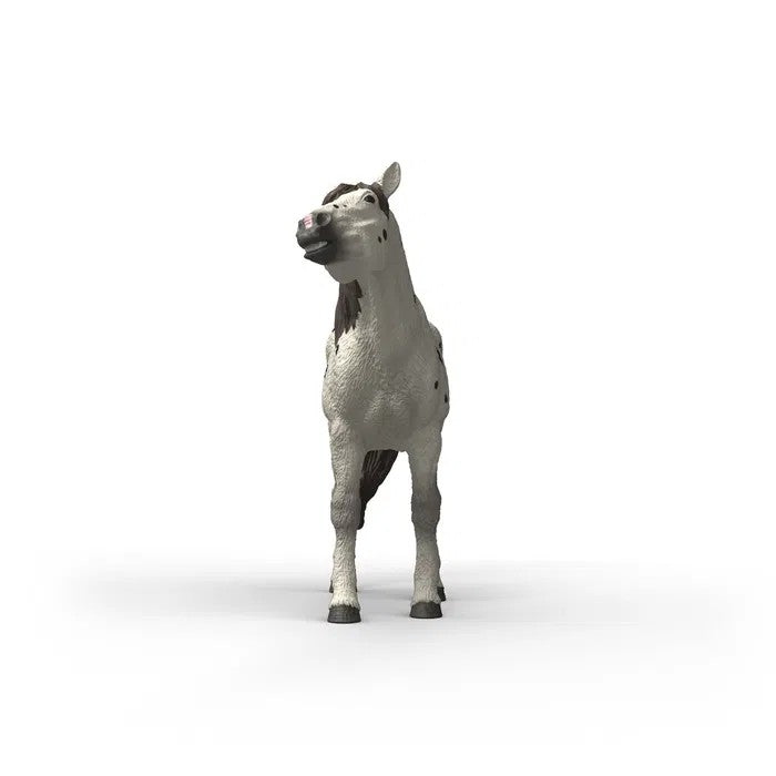 Schleich Knabstrupper Vallak 14916