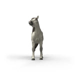 Schleich Knabstrupper Vallak 14916