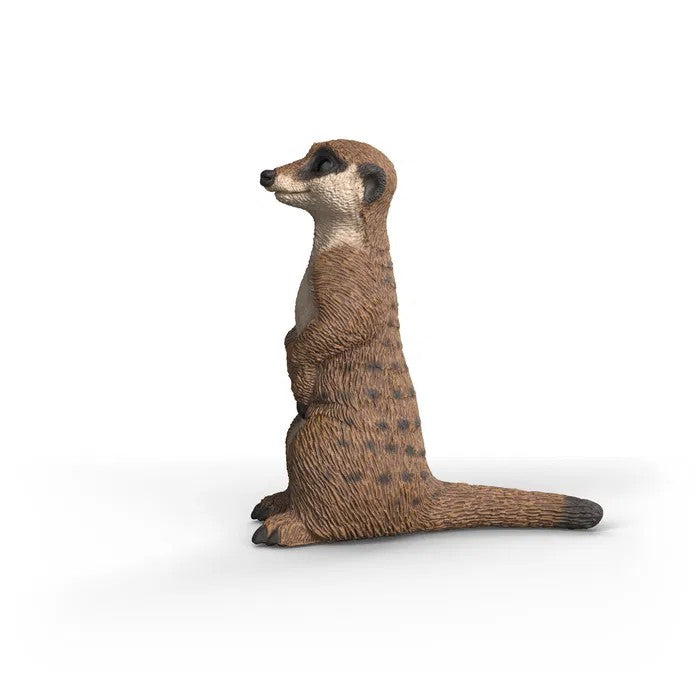 Schleich Surikat 14935
