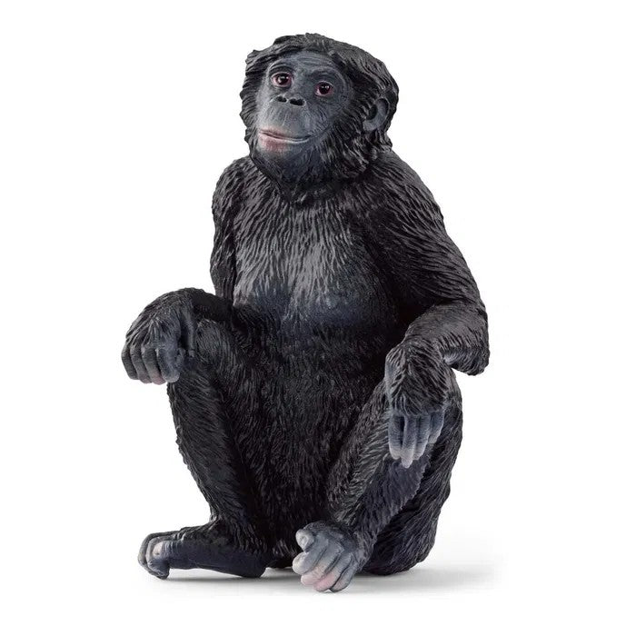 Schleich Bonobo Hun Abe 14875