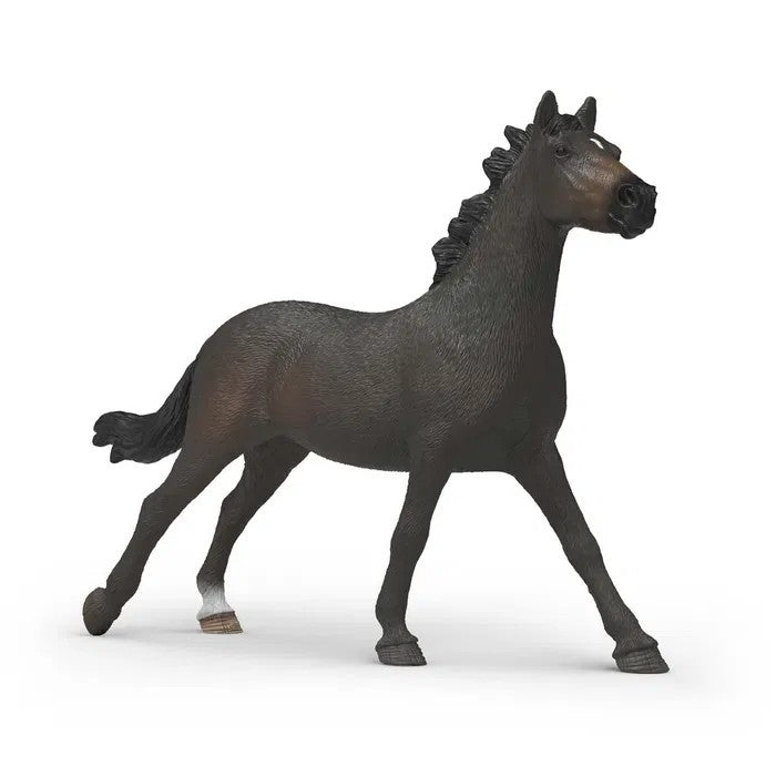 Schleich Engelsk Fuldblodshoppe 14914