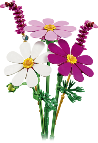 11514  Stolt kavaler-blomster