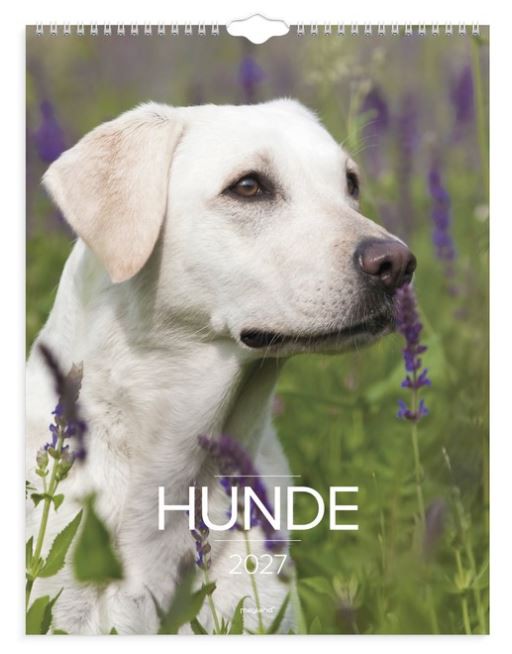 Mayland Vægkalender Hunde 2027 - 27066320